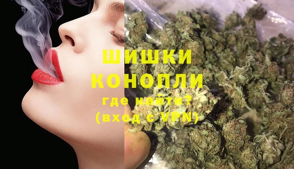бошки Алексин