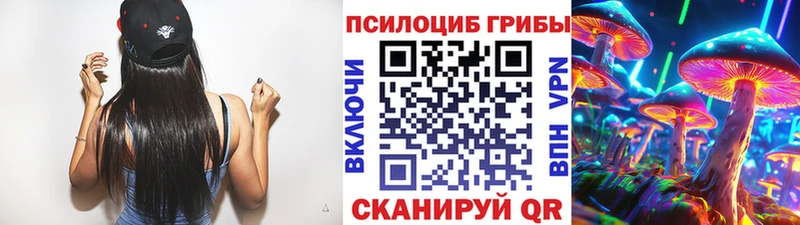 где найти наркотики  Муром  Псилоцибиновые грибы мицелий 